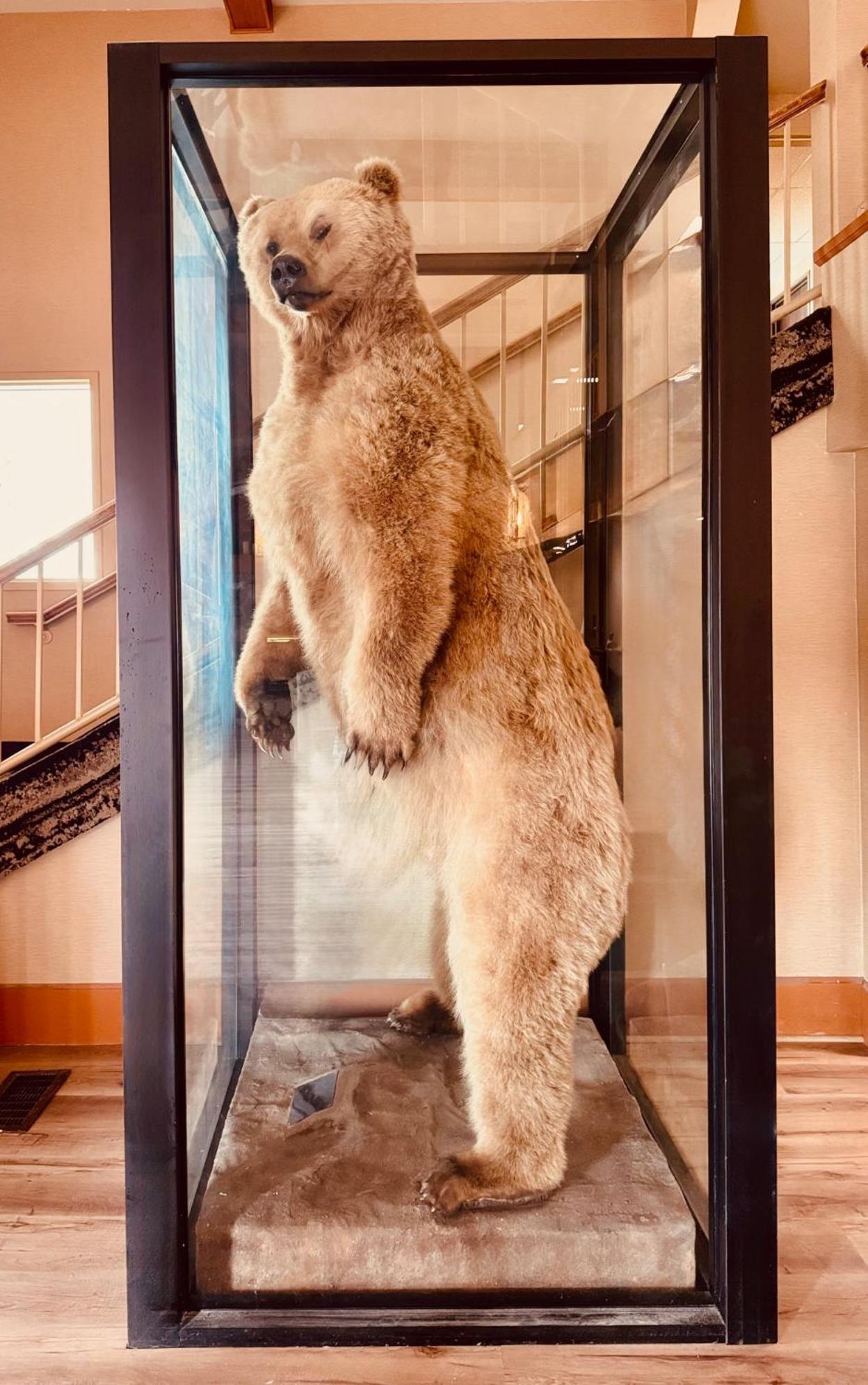 コンフォート イン シップ クリーク アンカレッジ エクステリア 写真